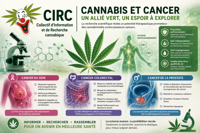 Cannabis et cancer