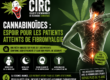 Cannabis médical et fibromyalgie - les preuves s’accumulent