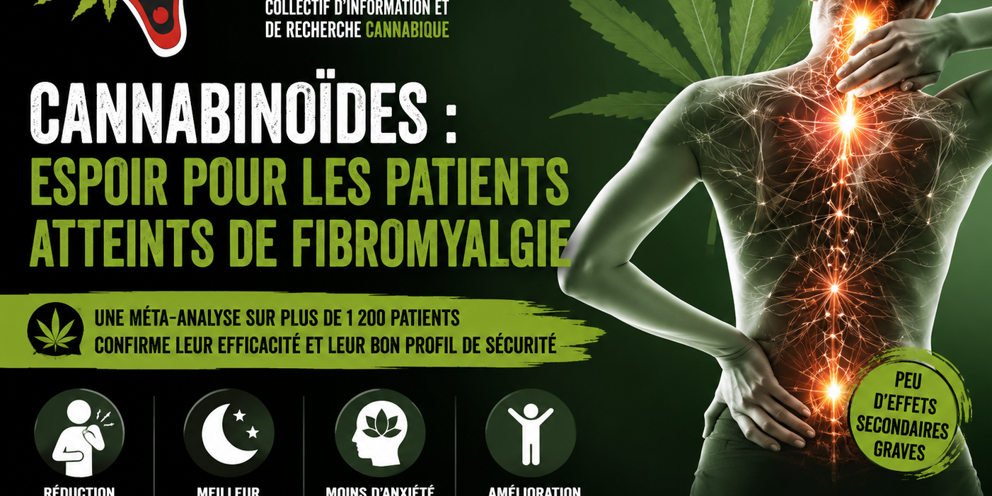 Cannabis médical et fibromyalgie – les preuves s’accumulent Cannabis médical et fibromyalgie - les preuves s’accumulent