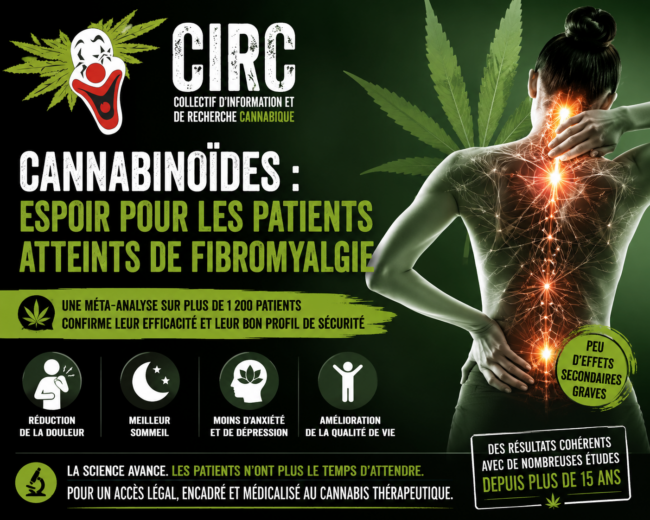 Cannabis médical et fibromyalgie – les preuves s’accumulent Cannabis médical et fibromyalgie - les preuves s’accumulent