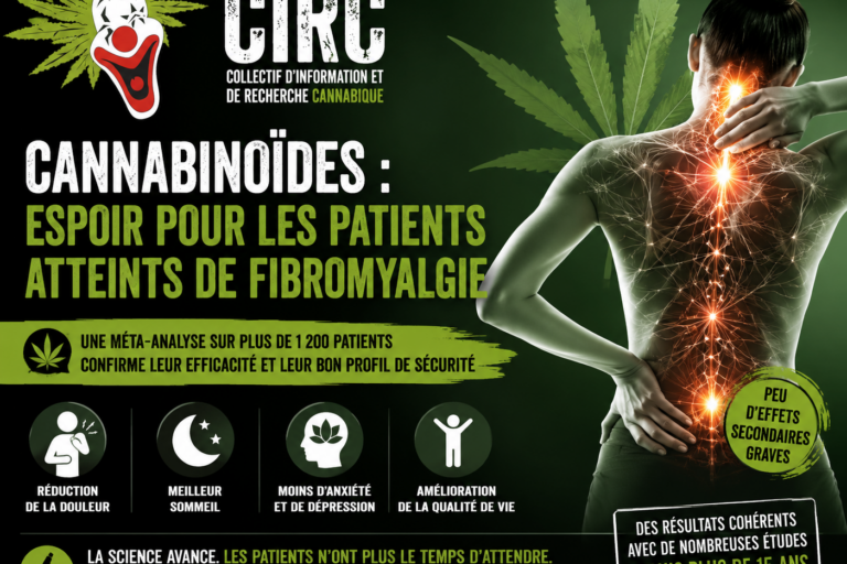 Cannabis médical et fibromyalgie - les preuves s’accumulent