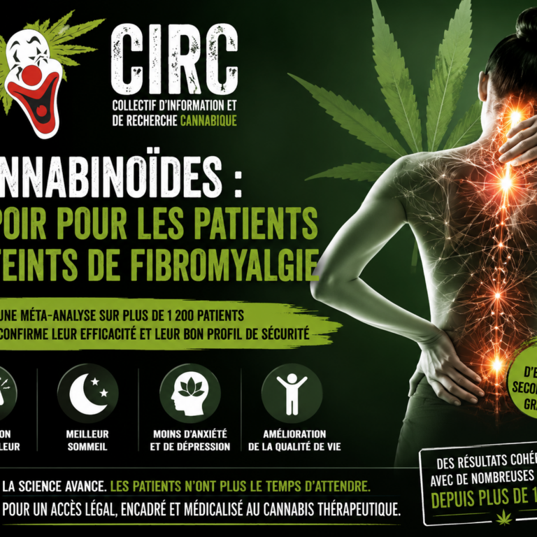 Cannabis médical et fibromyalgie - les preuves s’accumulent