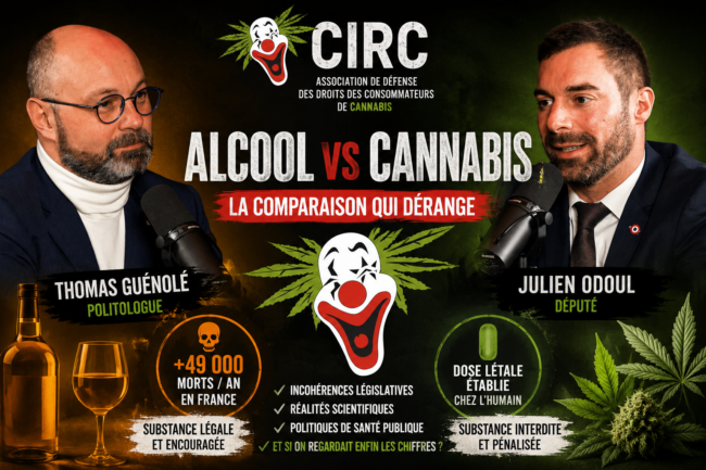 Cannabis vs Alcool