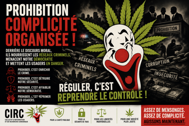 Prohibition Cannabis Complicité Organisée