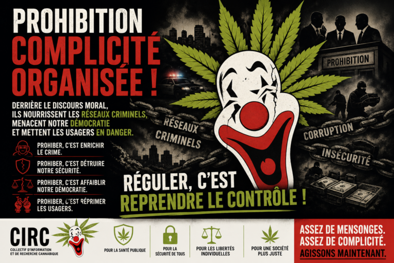Prohibition Cannabis Complicité Organisée